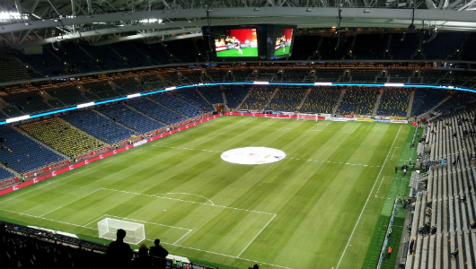 Сборная России сыграет на стадионе, где меняют газон по шесть раз в году