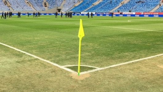 Под куполом грома. Почему умирает газон на «Крестовском»?