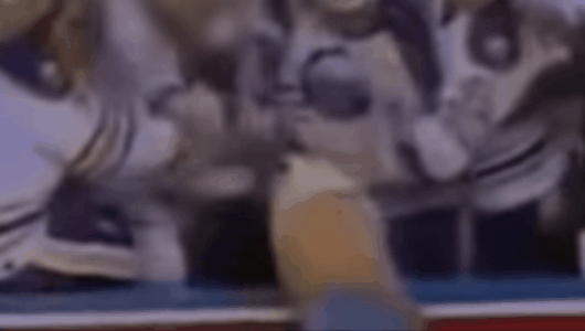 Хоккеист НХЛ избил болельщика прямо во время игры. Тот выжил после 18-ти ударов в голову